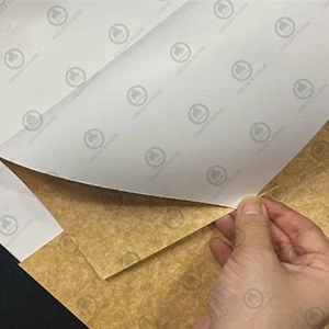Покрытая доска Крафт Назад