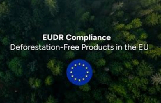 EUDR-Новые возможности для китайских бумажных компаний на европейском рынке