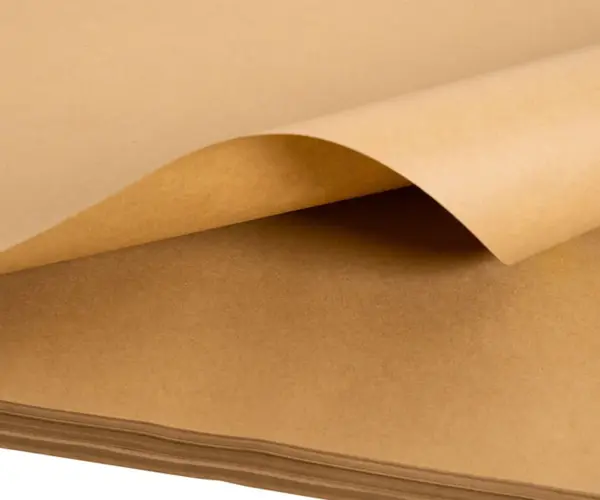 Отбеленная целлюлоза против небеленой целлюлозы: Какой из них вы должны выбрать?