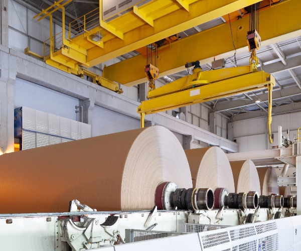 Какое сырье используется в производстве бумаги?