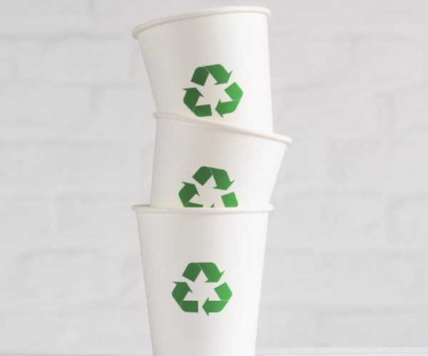 Полное руководство по типам бумаги, используемой в пищевой упаковке