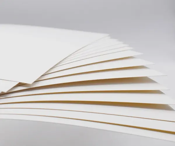 Твердый отбеленный сульфат (SBS) против складной коробки (FBB): в чем разница в упаковке картона?