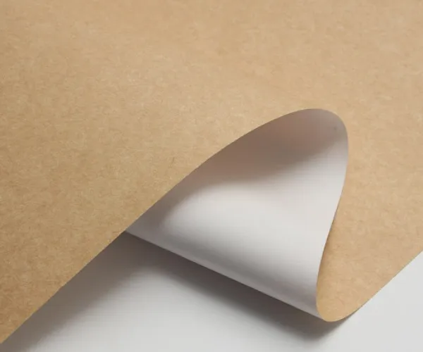 Почему CKB становится все более популярным