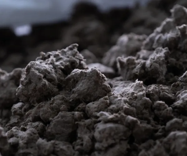 Сценарии применения переработанной целлюлозы