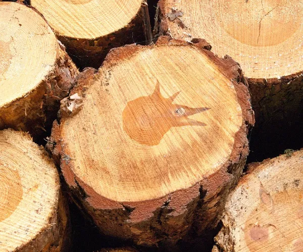 Свойства волокна и производительность бумаги