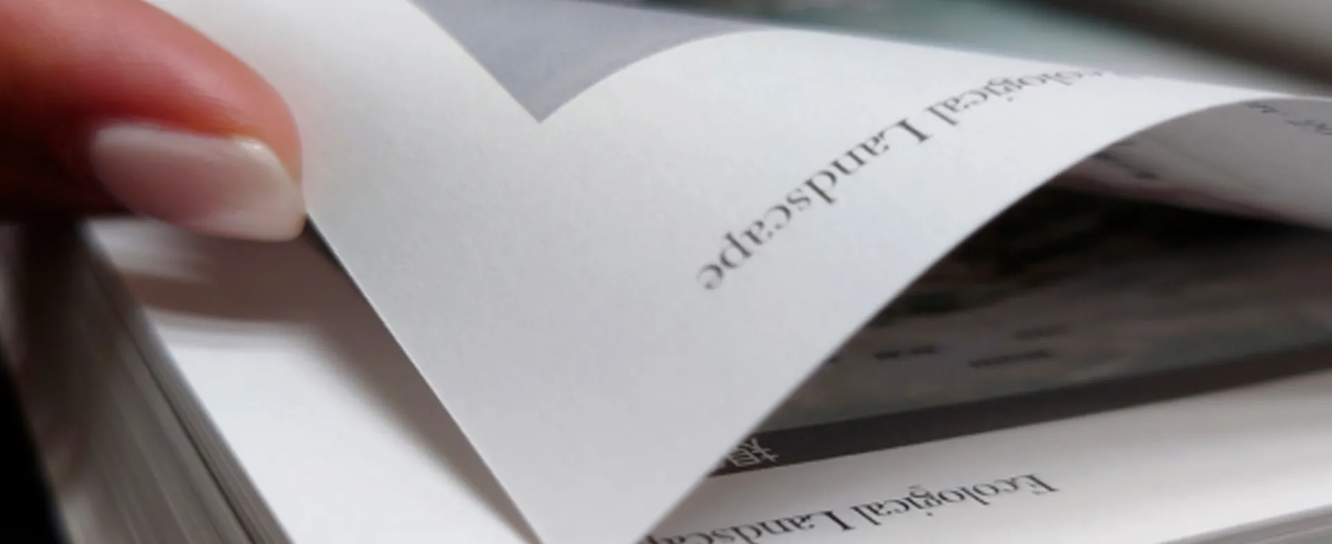 Золотая бумага Решения для печати & издательского мастерства