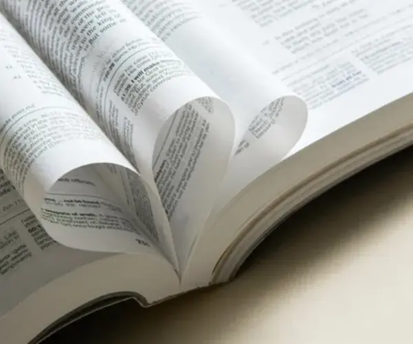 Библейская бумага против обычной бумаги